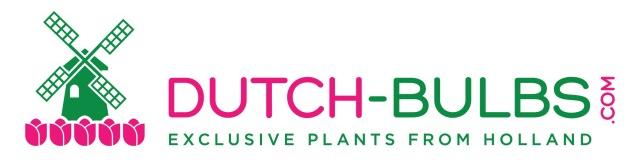 Dutch-bulbs.com - Bulbos y plantas de flor exclusivos de Holanda
